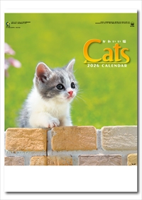 IC-201H かわいい猫