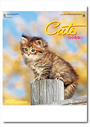 IC-201H かわいい猫画像1