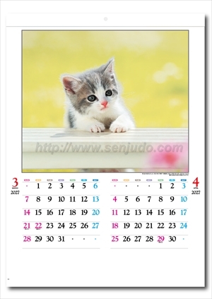 IC-201H かわいい猫画像2