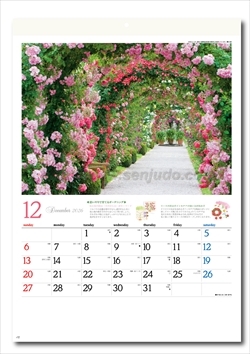 NK-101 ガーデニング・ヒント画像2