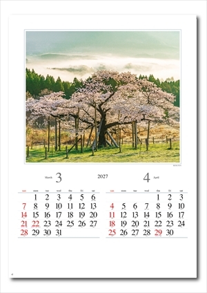NK-115 四季の朝画像2