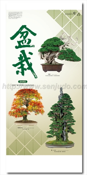 NK-152 盆栽画像1