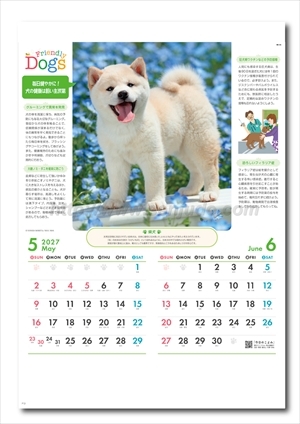 NK-24 フレンドリードッグス画像2