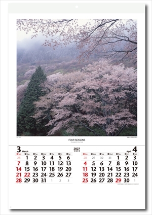 NK-407 四季 前田真三・前田晃作品集 フィルム画像2