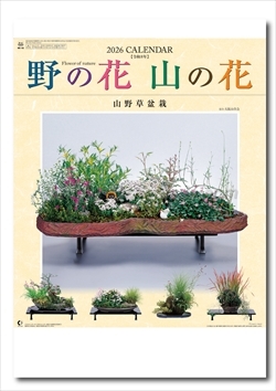 NK-46 野の花・山の花(山野草盆栽集）画像1