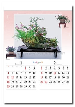 NK-46 野の花・山の花(山野草盆栽集）画像2