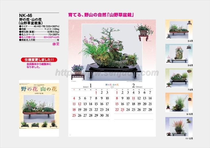 NK-46 野の花・山の花(山野草盆栽集）商品カタログ画像
