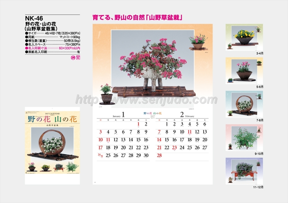 NK-46 野の花・山の花(山野草盆栽集)商品カタログ画像