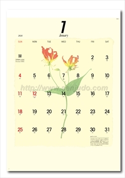 NK-55 プレス・フラワー(小）画像2