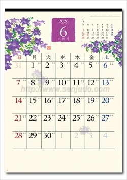 NK-67 和の彩花画像2