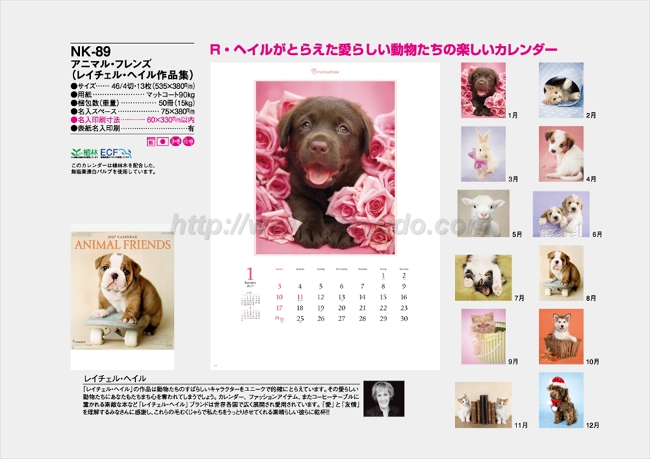 NK-89 アニマル・フレンズ(レイチェル・ヘイル作品集)商品カタログ画像