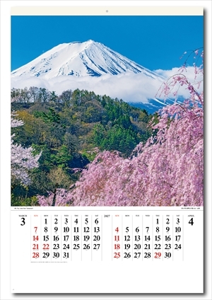 SB-250　富士山(世界文化遺産)フイルム画像2