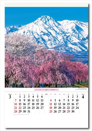 SB-253 花紀行 フィルム画像2