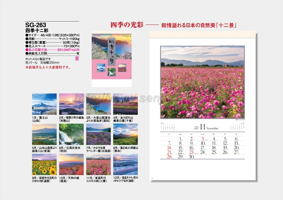 SG-263 四季十二彩商品カタログ画像