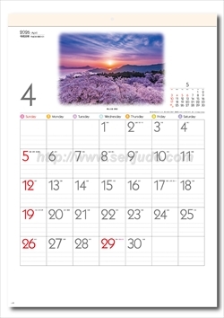 SG-282 詩情・庭メモリー画像2