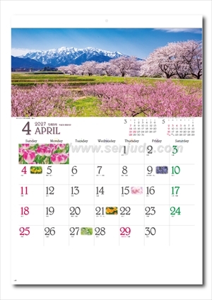 SG-290 四季彩花画像2