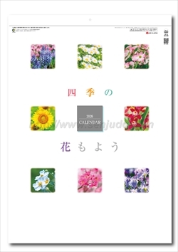 SG-293　四季の花もよう画像1