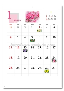 SG-293　四季の花もよう画像2