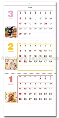 SG-321 ペットアルバム3ヶ月玉画像2