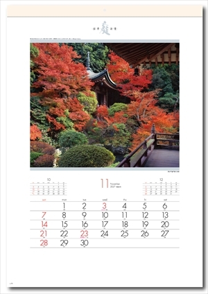 SG-457 庭・四季詩情画像2