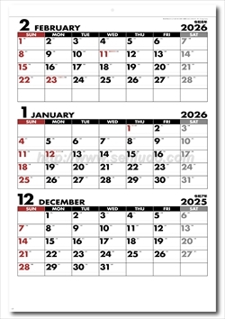 SG-549 シンプルジャンボカレンダー(年表付・スリーマンス)画像2