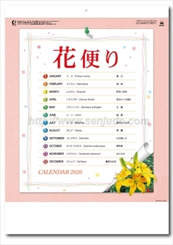 SP-72 花便り画像1