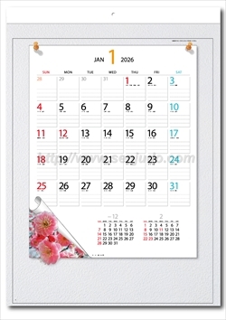 SP-72 花便り画像2