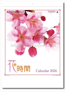 SP-80 花時間画像1