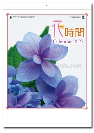 SP-80 花時間画像1