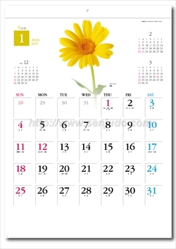 SP-80 花時間画像2