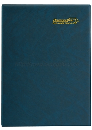 TD-172 B5・DX2週間・リング画像1