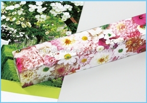 TD-4012 ギフト用化粧箱(花)画像1