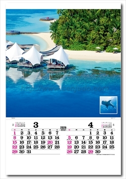 TD-527 トーハン・DX　マリンブルー　フィルム画像2