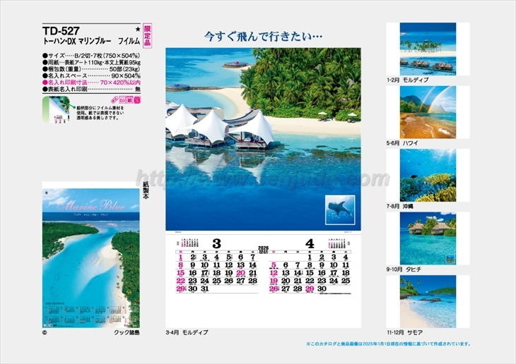 TD-527 トーハン・DX　マリンブルー　フィルム商品カタログ画像