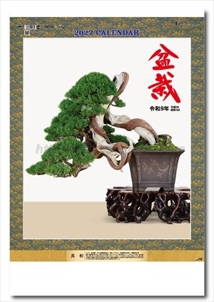 TD-624 盆栽DX画像1