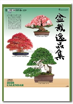 TD-665 盆栽逸品集画像1