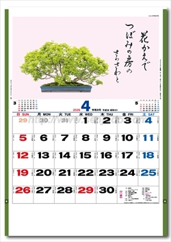 TD-665 盆栽逸品集画像2
