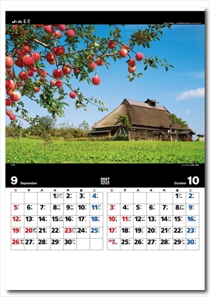TD-703 山水有情画像2