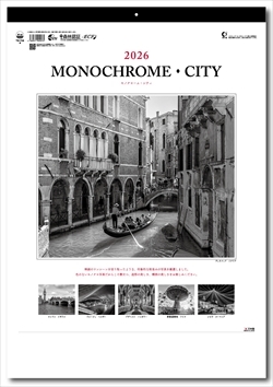 TD-710 モノクローム・シティ画像1