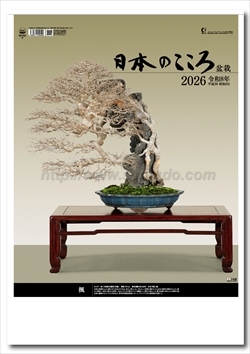 TD-721　日本のこころ（盆栽）画像1