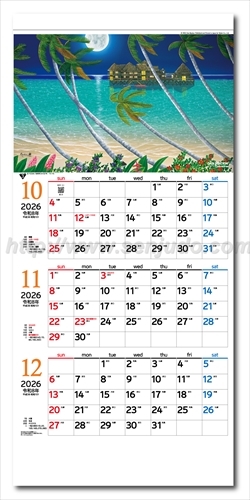 TD-776　ダン・マックイン3ヶ月ー上から順タイプー画像2