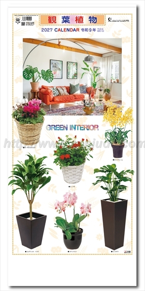 TD-782 観葉植物画像1