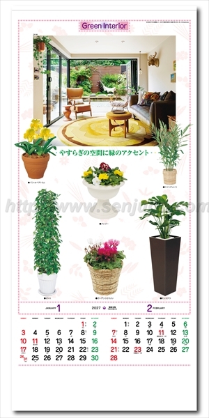 TD-782 観葉植物画像2