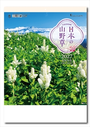 TD-818 日本の山野草画像1