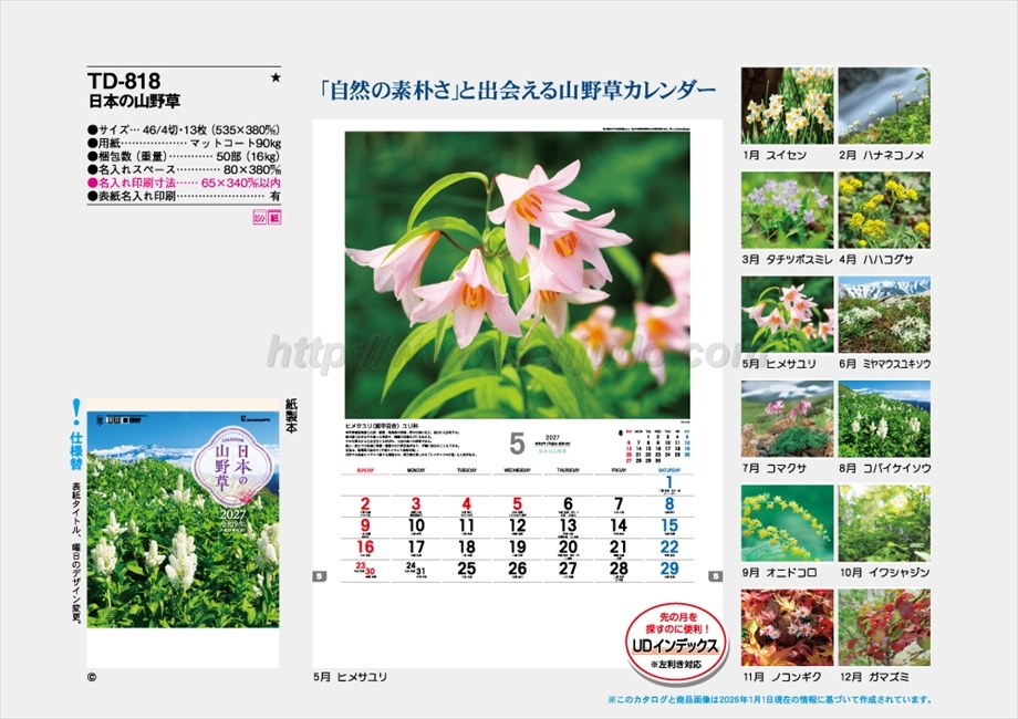 TD-818 日本の山野草商品カタログ画像