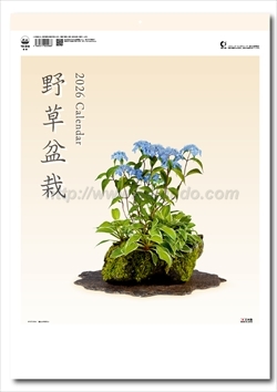 TD-819 野草盆栽画像1