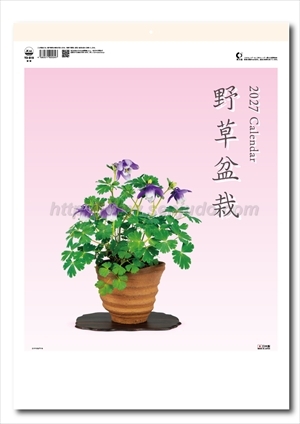 TD-819 野草盆栽画像1