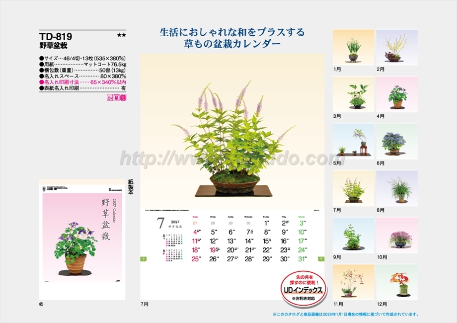TD-819 野草盆栽商品カタログ画像