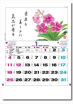 TD-851 花ごよみ画像2