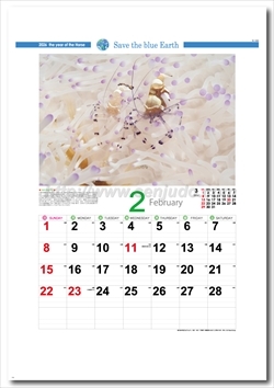 YK-1029 エコブルー画像2